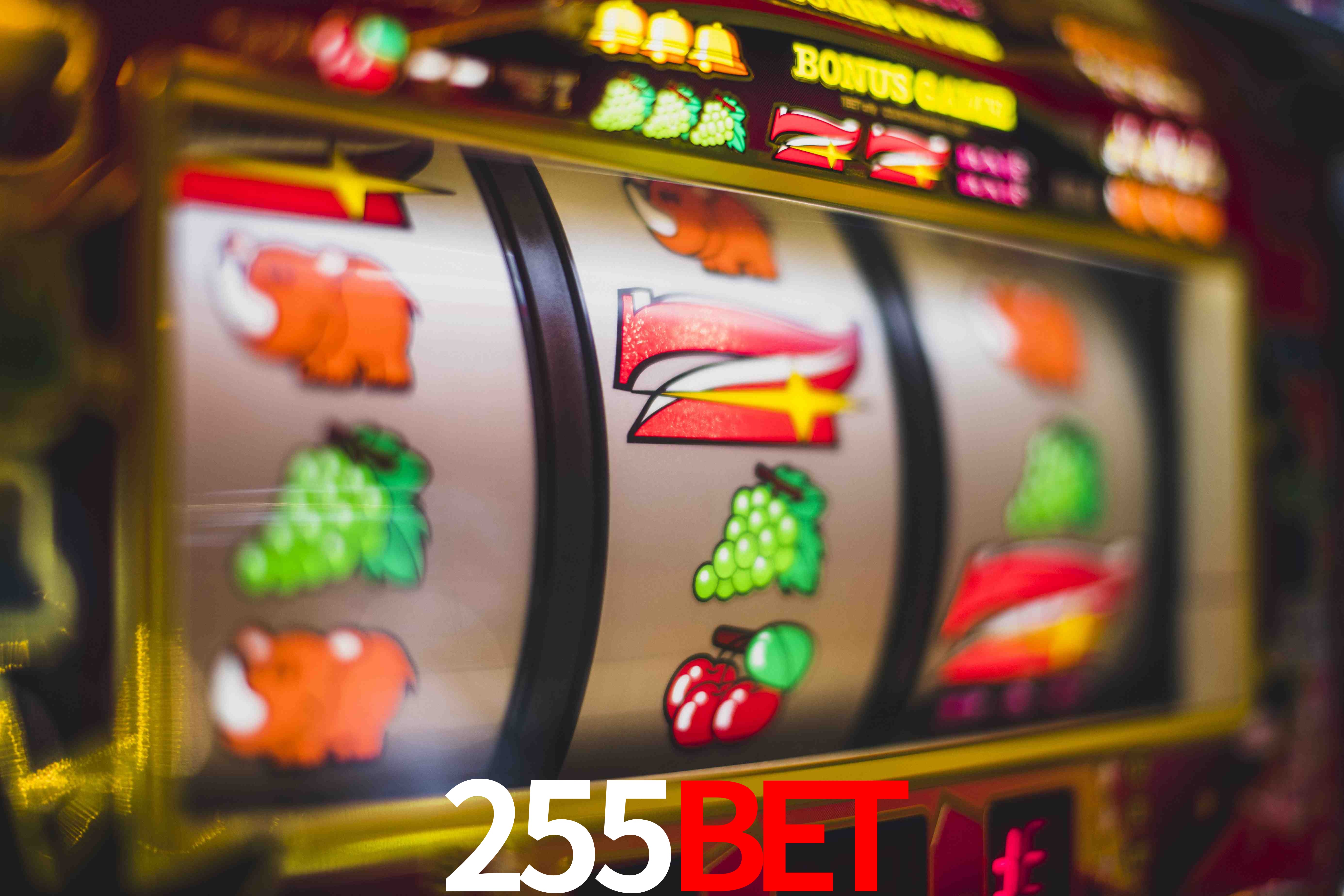 Game Providers 255Bet