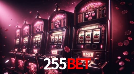 Interface Premium 255Bet